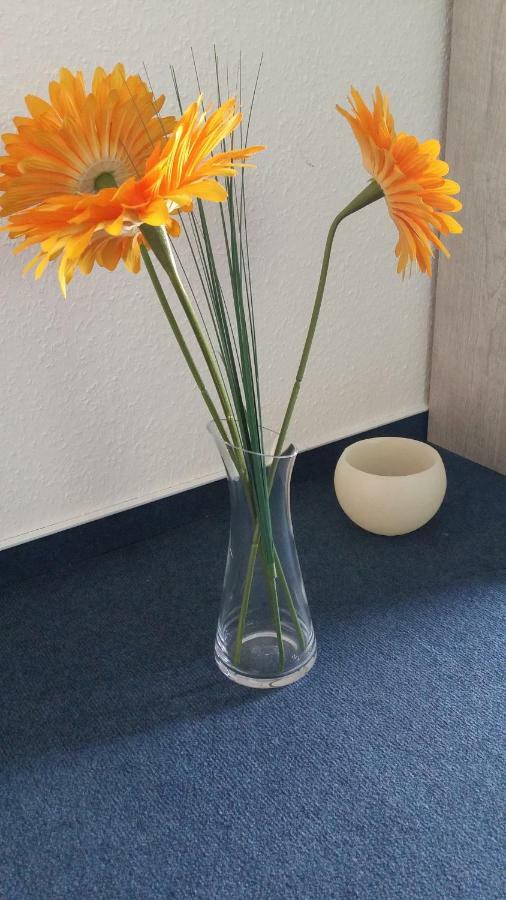 Da Ferienwohnungen Bargischow Buitenkant foto